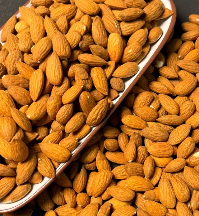 Almendra Carmel 25/27